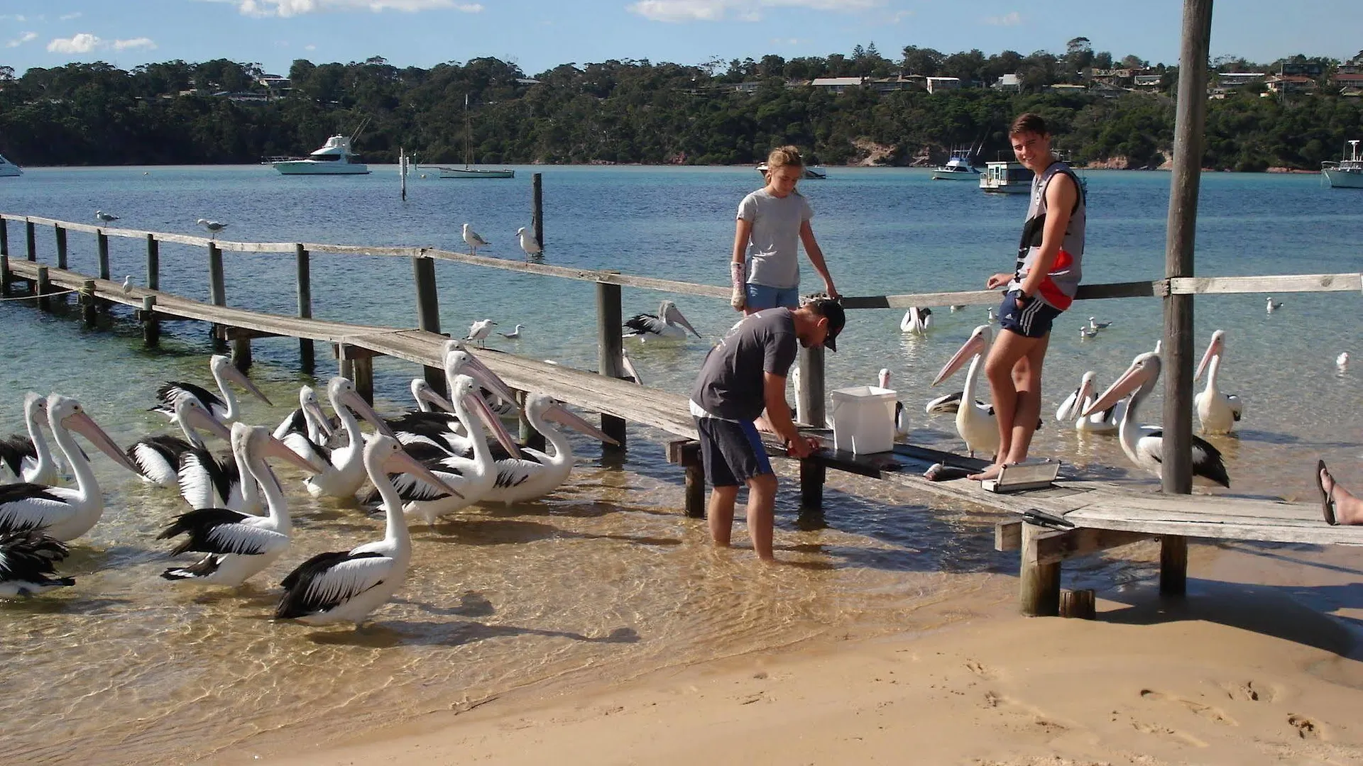 Bayview Apartments Merimbula Aparthotel